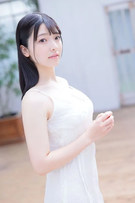 夏日回声 青春治愈动漫番剧免费观看